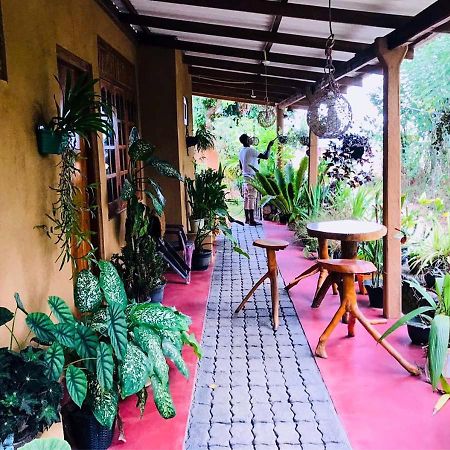 Kasun Hotel Koslanda Ngoại thất bức ảnh