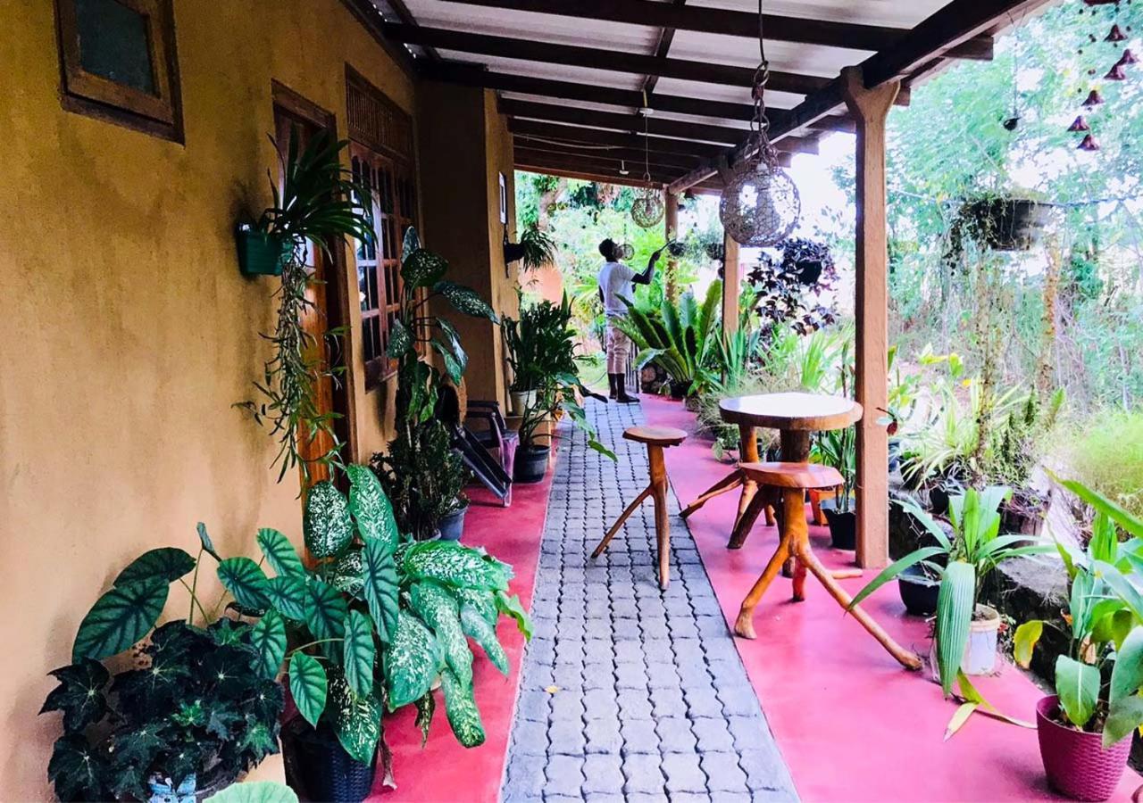 Kasun Hotel Koslanda Ngoại thất bức ảnh